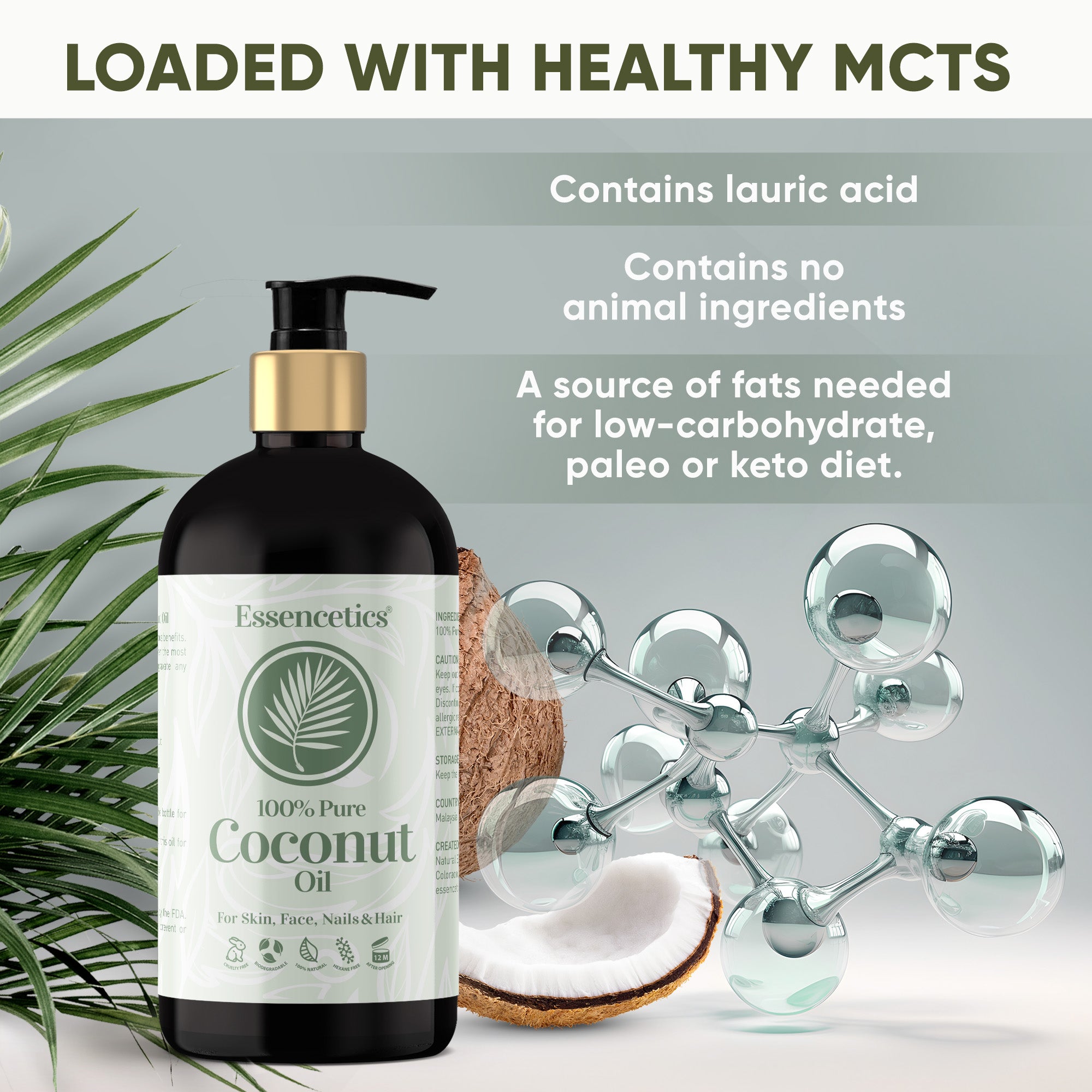 Handcraft Blends Fractionated Coconut Oil - 100% Pure & Natural Premium Therapeutic Grade - Coconut Carrier Oil for Aromatherapy, Massage, Moistur