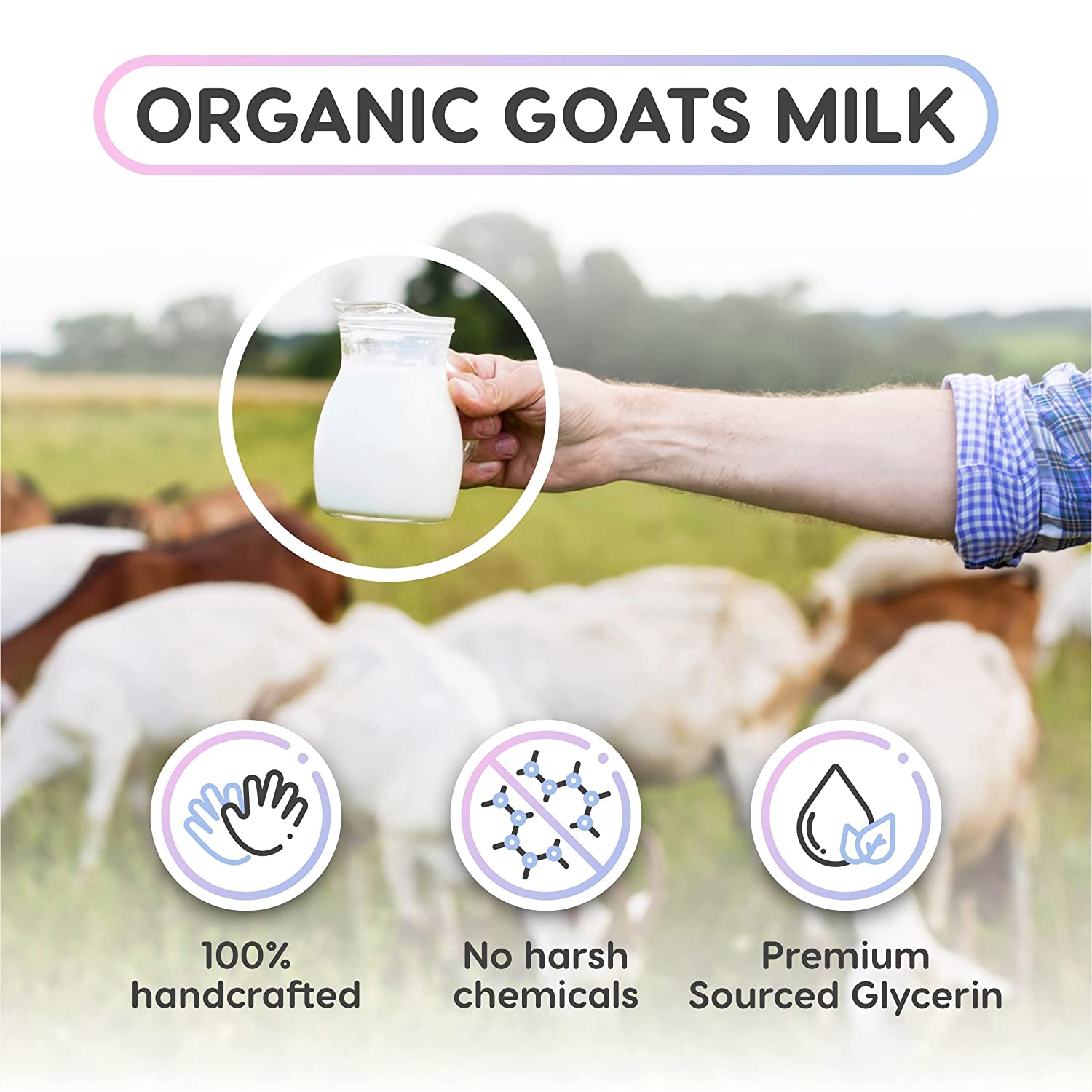 Essencetics Melt and Pour Goats Milk Soap Base with Coconut Oil 5 lb -  Premium Glycerin - Natural Soap Making Bars Kit for Goats Milk - Soap  Creating Supplies - Personolized Goats Milk Soap 5 Pound